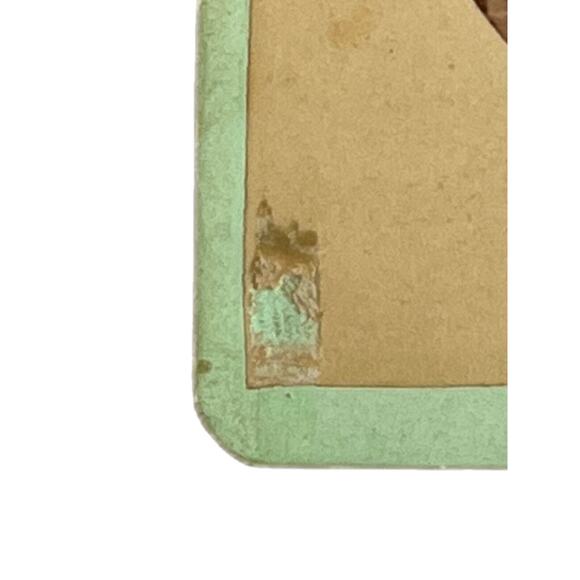 Antique CDV Carte de Visite Photography Sepia CC Wright Well Dressed Woman SEE - Picture 3 of 5